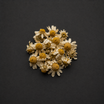 Chamomile Extract