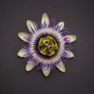 Passionflower